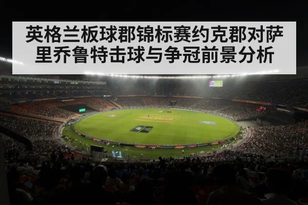 cricket match stadium